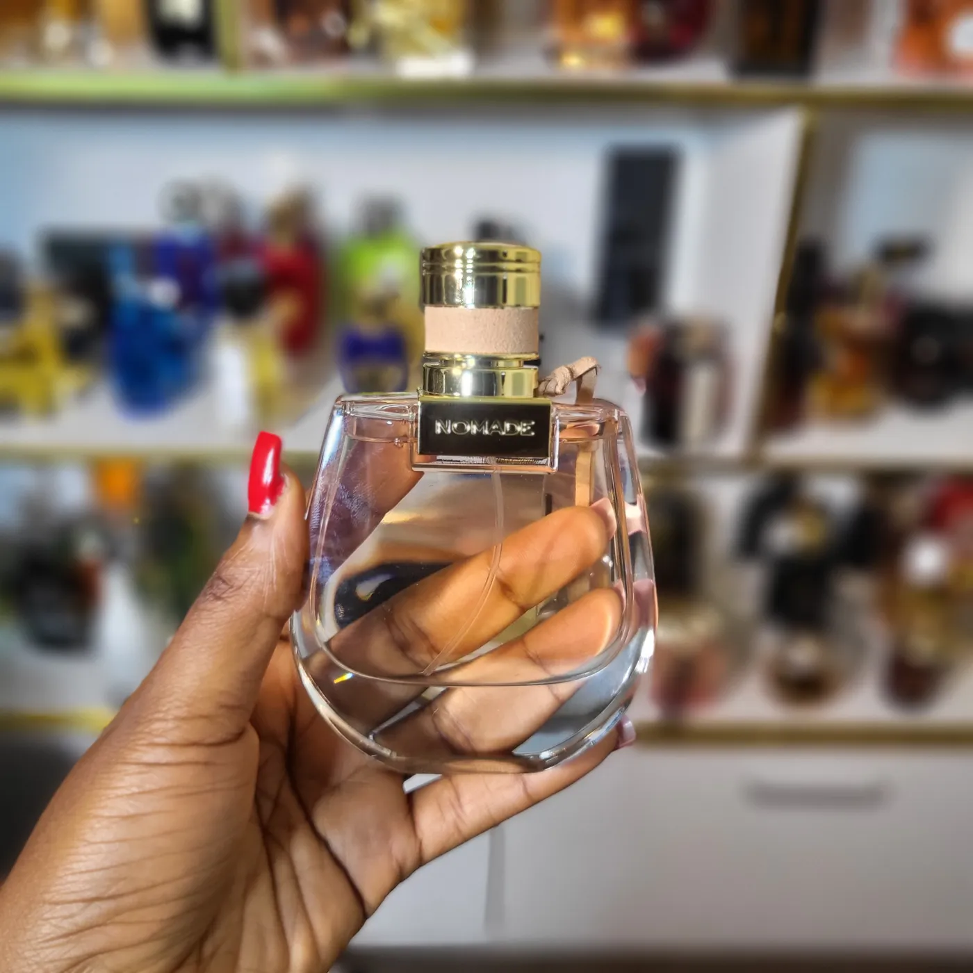 Chloé Nomade